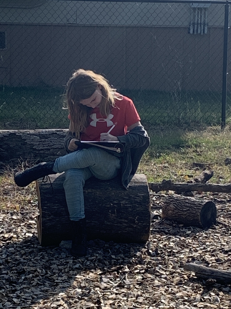 Descriptive writing